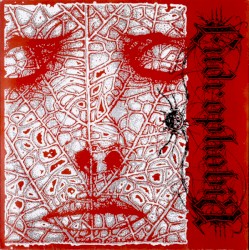 Endrophobia