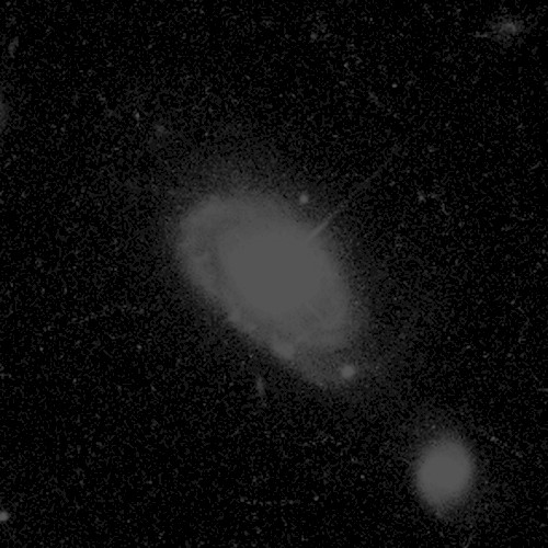 Distant Quasar