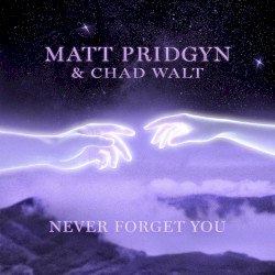 Never Forget You