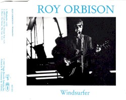 Windsurfer
