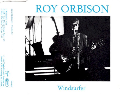 Windsurfer