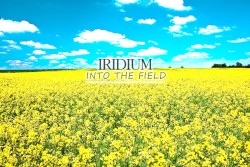 Into the Field