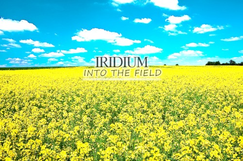 Into the Field