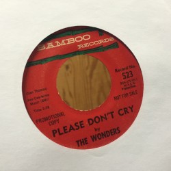 Please Don't Cry / With These Hands