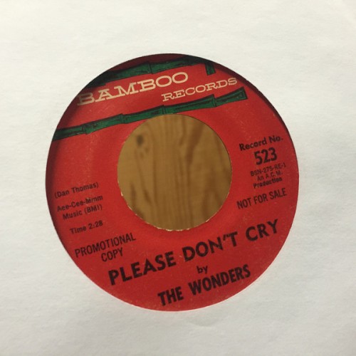 Please Don't Cry / With These Hands