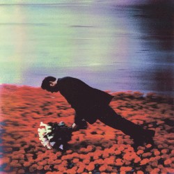 Colour Motion Picture