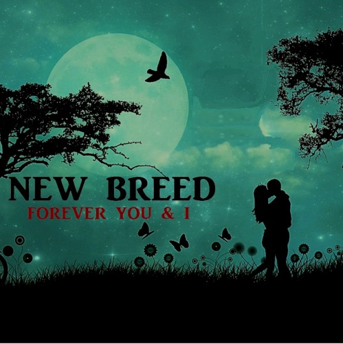Forever You & I
