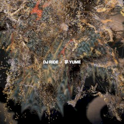 夢 Yume