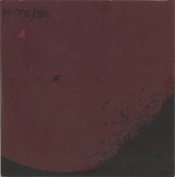 Excerpts From Evinta
