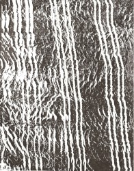 Ondes bruitistes