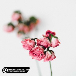 Only Love Can Hurt Like This (acoustic)