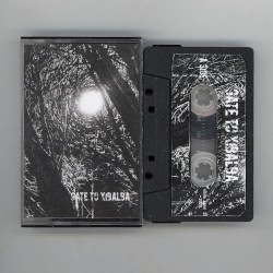 The Light – The Void