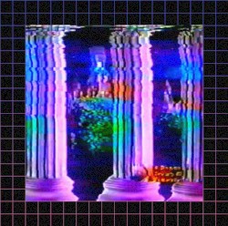 Neonites
