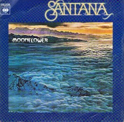 Flor D’Luna (Moonflower)
