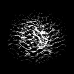 Vastus