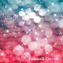 Zoomed Circuit