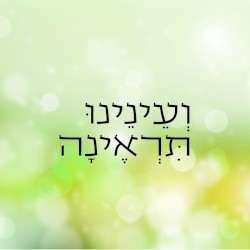 ועינינו תראינה