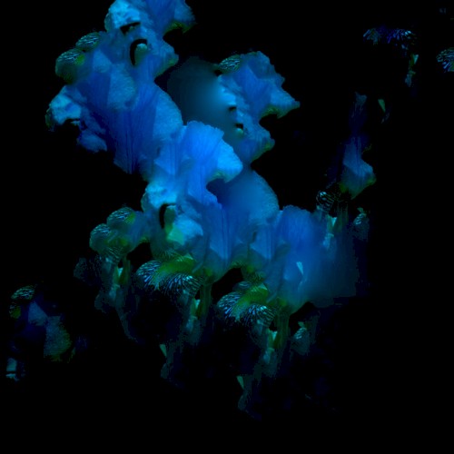 Chroma