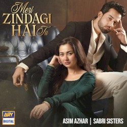 Meri Zindagi Hai Tu