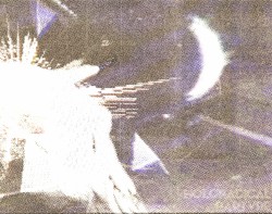 HOLORADICAL RAPTURE
