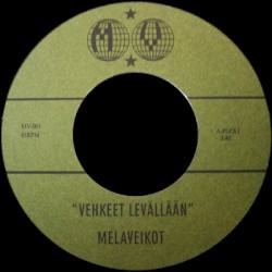 Vehkeet levällään