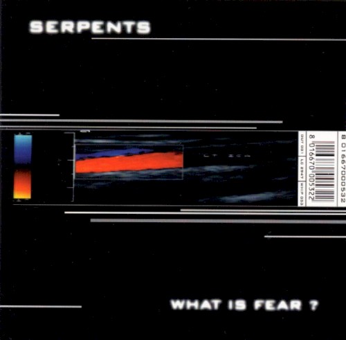 What Is Fear?