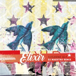 Elixir (DJ Maestro remix)