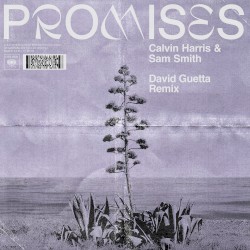 Promises (David Guetta remix)