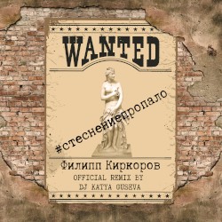 Стеснение пропало (DJ Katya Guseva remix)