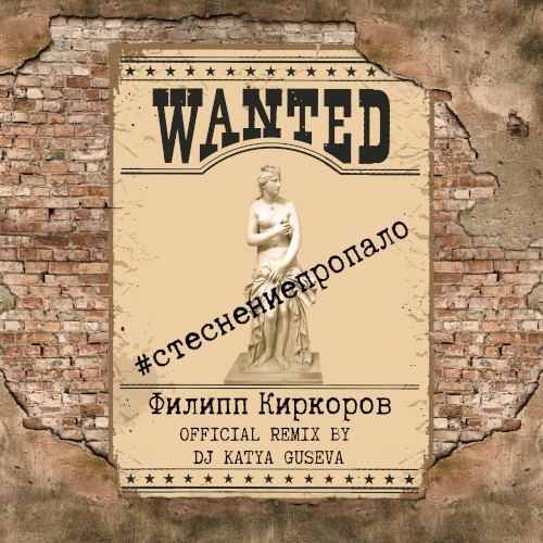 Стеснение пропало (DJ Katya Guseva remix)