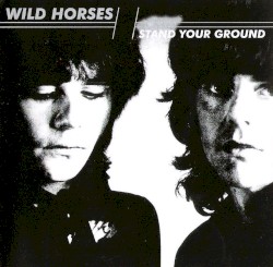 Stand Your Ground