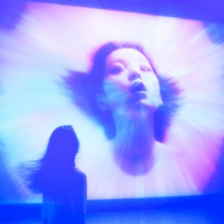 彼女は二元調和を夢見る