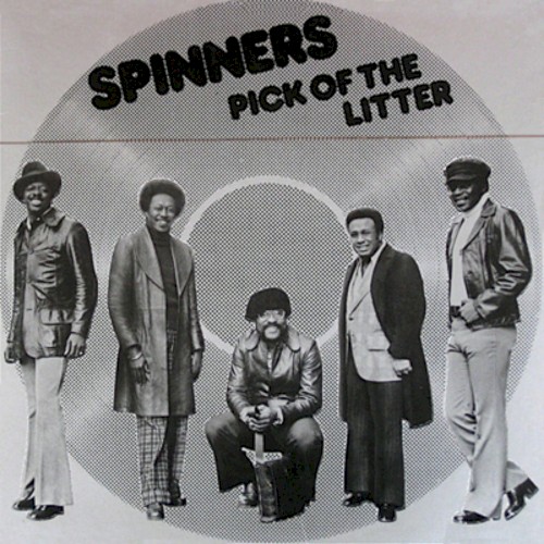 Pick of the Litter