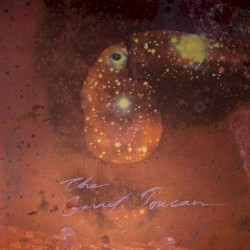 The Garnet Toucan