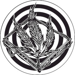 Kaotik 09