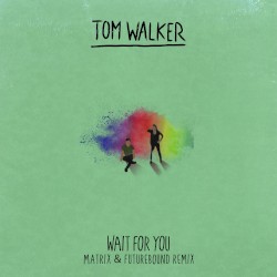Wait for You (Matrix & Futurebound remix)