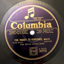 You Forgot to Remember / Charleston Baby O'Mine