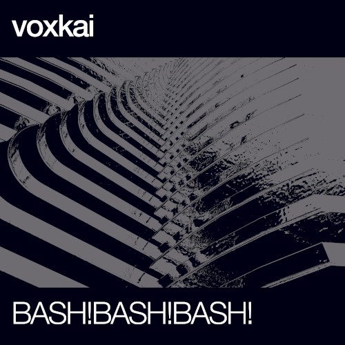 BASH!BASH!BASH!