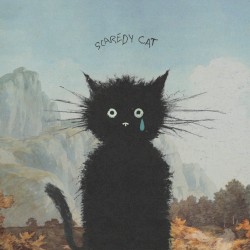 scaredy cat