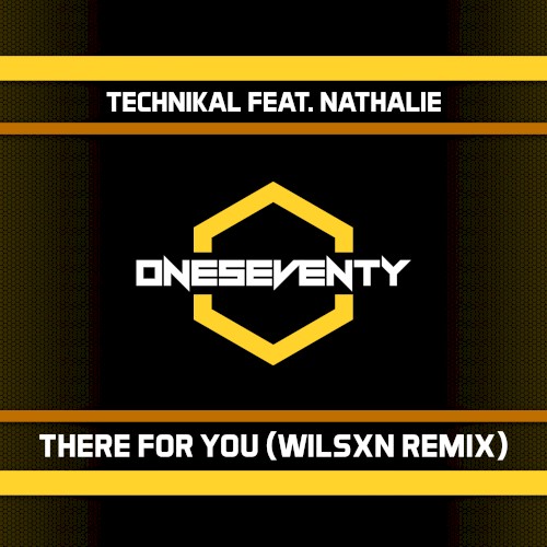 There For You (WILSXN remix)