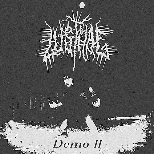 Demo II
