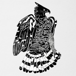 Crowned Eagle