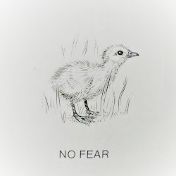 NO FEAR : Promotion EP for "겁이나"