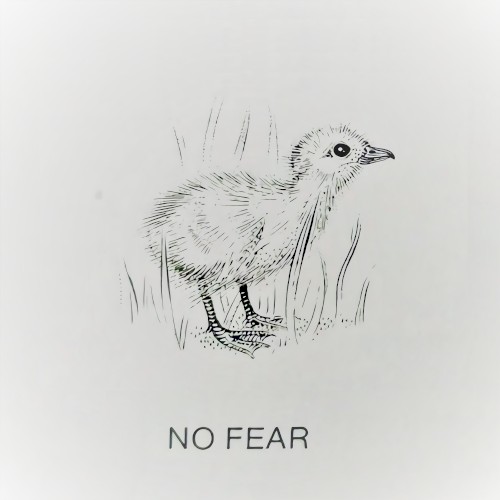 NO FEAR : Promotion EP for "겁이나"