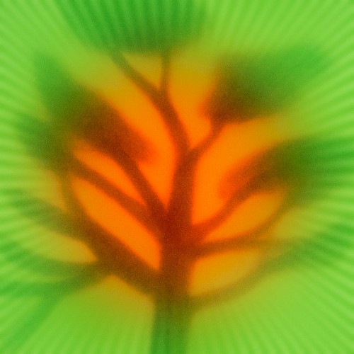 Always Open (Falle's Roots) (Photay remix)