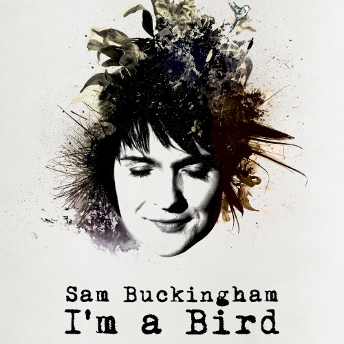 I’m a Bird