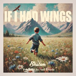 If I Had Wings