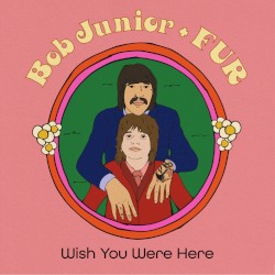 Wish You Were Here