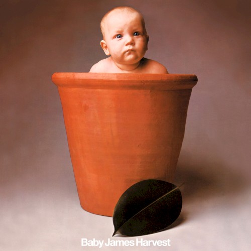 Baby James Harvest