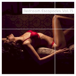 Bedroom Escapades, Volume 15